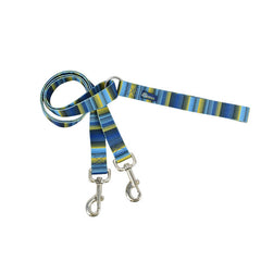 Clyde Training Leash