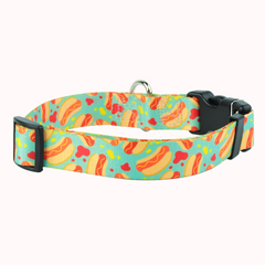 Hot Diggity Dog Dog Collar