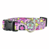 Petal Party Purple Dog Collar