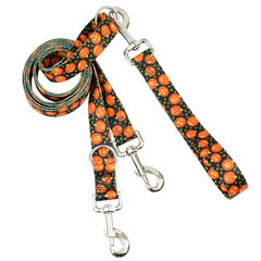 Jack O Lantern Euro Leash