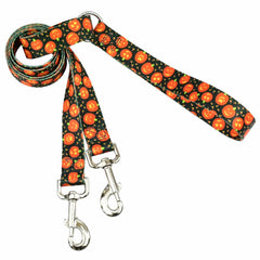 Jack O lantern Training Leash