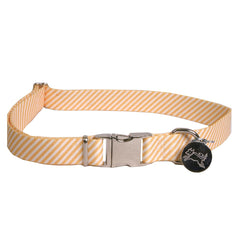 Southern Dawg Seersucker Orange Premium Dog Collar