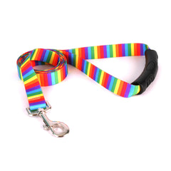 Rainbow Stripes EZ-grip Dog Leash