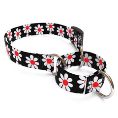 Black Daisy Martingale Dog Collar