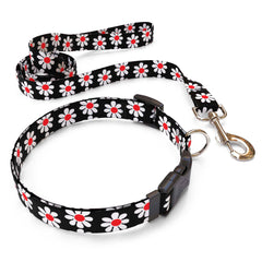 Matching Black Daisy Dog Collar and Leash