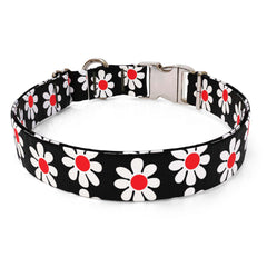 Black Daisy Premium Sterling Dog Collar