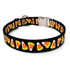 Candy Corn Sterling Premium Dog Collar