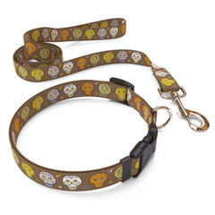 Matching Candy Skulls Dog Collar and Leash