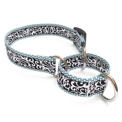 Chantilly Teal Martingale Dog Collar