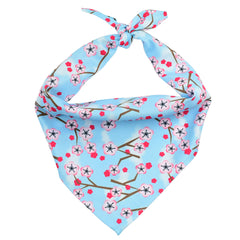 Cherry Blossoms Dog Bandana