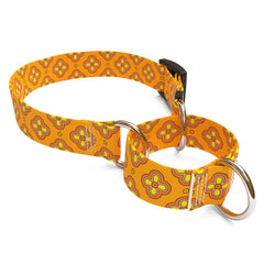 Boho Cleo Orange Martingale Dog Collar