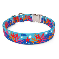 Coral Reef Sterling Premium Dog Collar