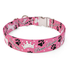 Diva Dog Sterling Premium Dog Collar