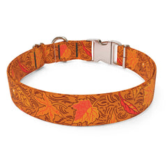Fall Leaves Sterling Premium Dog Collar