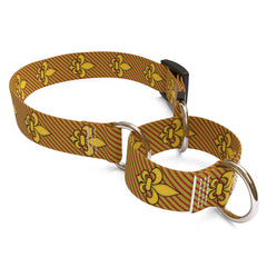 Fleur de Lis Gold Martingale Dog Collar