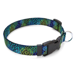 Matching Flowerworks Blue Dog Collar and Leash