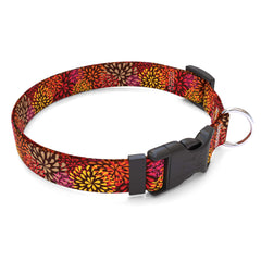Matching Flowerworks Red Dog Collar and Leash