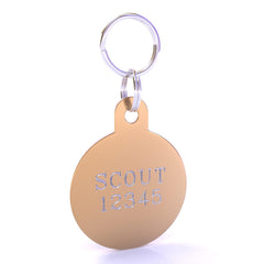 HyperLite Circle Dog ID Tag with Engraving