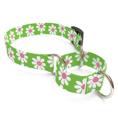 Green Daisy Martingale Dog Collar