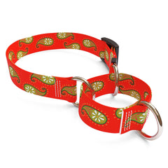 Holiday Paisley Martingale Dog Collar