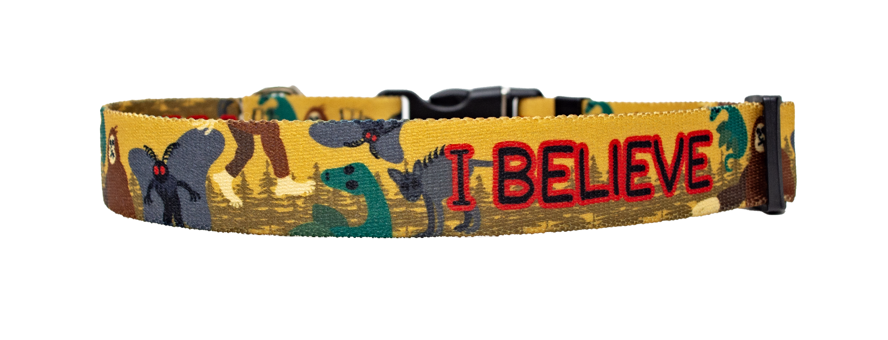 I Believe Dog Collar