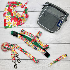 **BUNDLE!** Aloha Freedom No-Pull Harness & More!