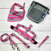 **BUNDLE!** 1980s Freedom No-Pull Harness & More!