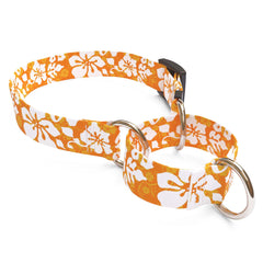 Island Floral Orange Martingale Dog Collar