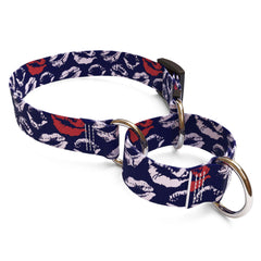 Kisses Black Martingale Dog Collar