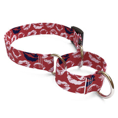 Kisses Red Martingale Dog Collar