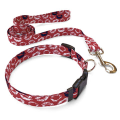 Matching Kisses Red Dog Collar and Leash