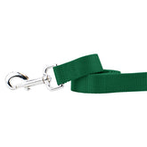 Kelly Green Nylon Dog Leash