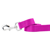 Raspberry Nylon Dog Leash