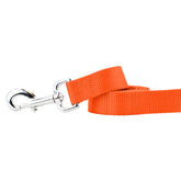 Rust Nylon Dog Leash (1" only)