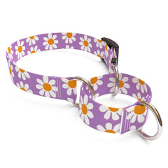 Lavender Daisy Martingale Dog Collar
