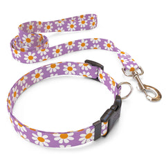Matching Lavender Daisy Dog Collar and Leash