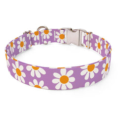 Lavender Daisy Sterling Premium Dog Collar