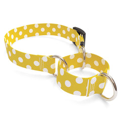 Lemon Polka Dot Martingale Dog Collar
