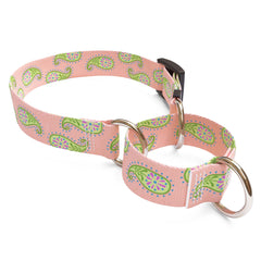 Melon Paisley Martingale Dog Collar