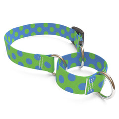 Green and Blue Polka Dot Martingale Dog Collar