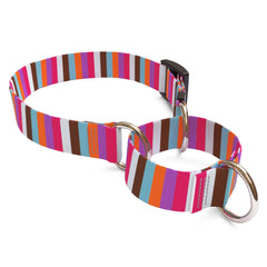 Multi-Stripe Martingale Dog Collar