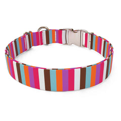 Multi-Stripe Sterling Premium Dog Collar