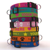 Personalized Solid Colored Side Release Collar
