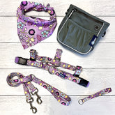 **BUNDLE!** Petal Party Purple Freedom No-Pull Harness & More!