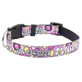 Personalized Petal Party Purple Dog Collar