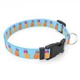 Pineapple Party Blue Dog Collar