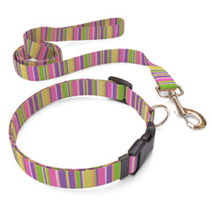 Matching Pink Stripes Dog Collar and Leash