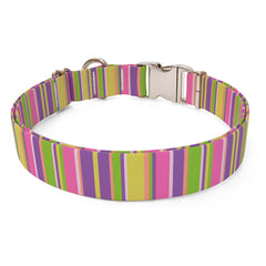 Pink Stripes Sterling Premium Dog Collar