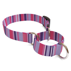 Purple and Pink Stripes Martingale Dog Collar
