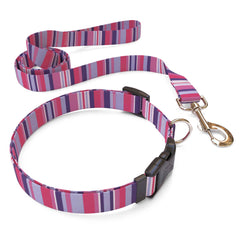 Matching Purple and Pink Stripes Dog Collar and Leash